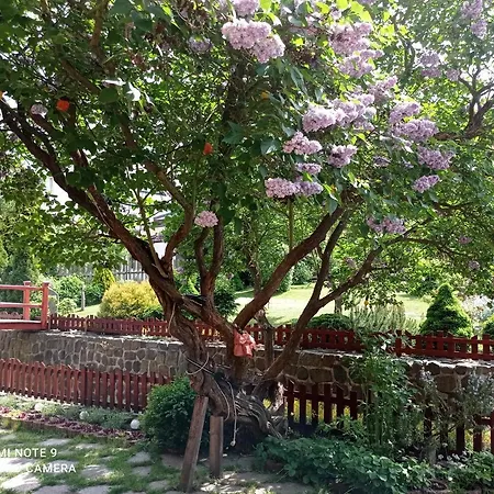 Appartamento Atlantis 1